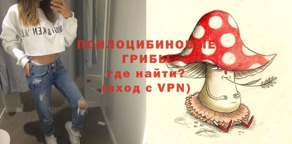 2c-b Нязепетровск