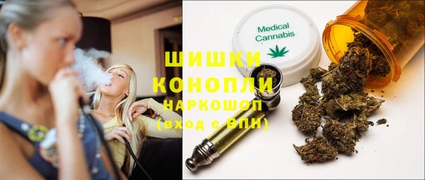 гидропоника Няндома