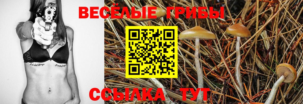 Псилоцибиновые грибы Magic Shrooms  Вход с VPN  Благовещенск 