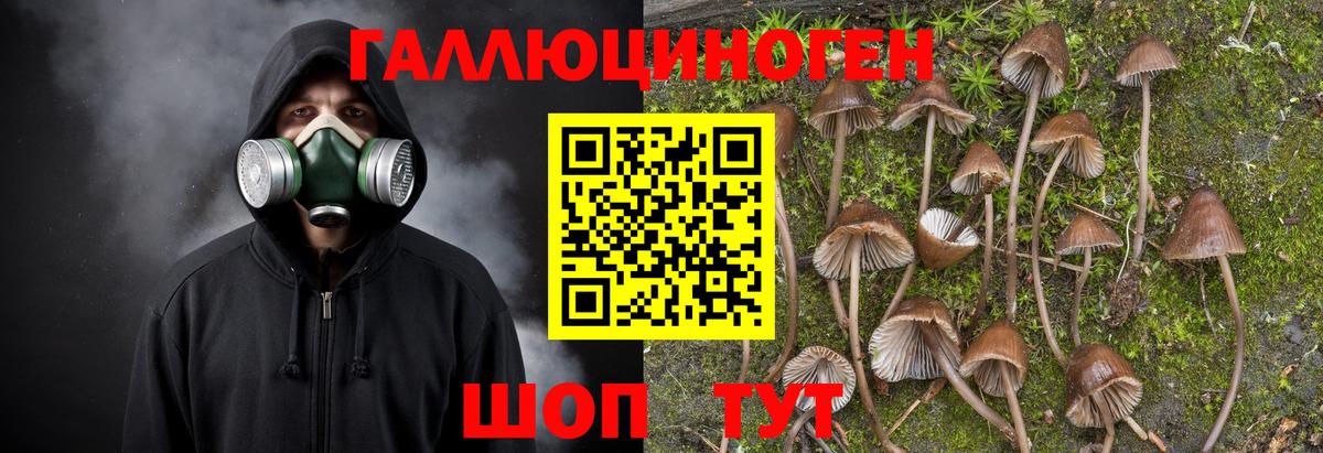 Галлюциногенные грибы MAGIC MUSHROOMS Благовещенск