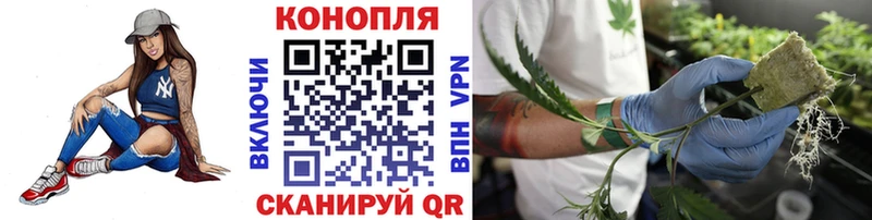 Канабис White Widow  Благовещенск 
